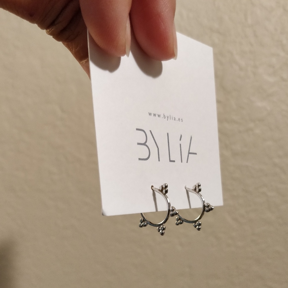 Hoop earrings in 925 sterling silver